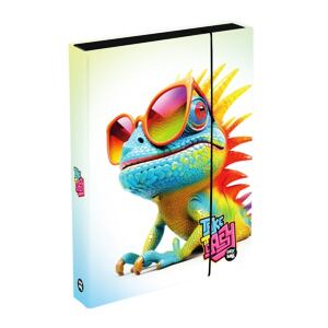 Oxybag Box na sešity A4 Jumbo -  Chameleon