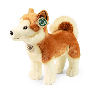Rappa Plyšový pes Akita Inu 30 cm ECO-FRIENDLY
