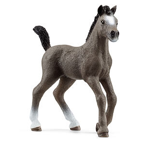 Schleich Zvířátko - Hříbě plemene Selle Français