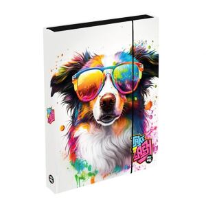 Oxybag Box na sešity A4 Jumbo -  Pes