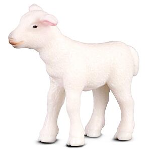 COLLECTA Jehně