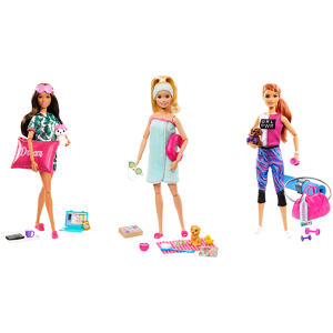 Mattel Barbie Wellness Panenka, více druhů