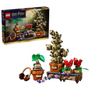 LEGO® Harry Potter™ 76474 Rostliny z hodiny bylinkářství v Bradavicích