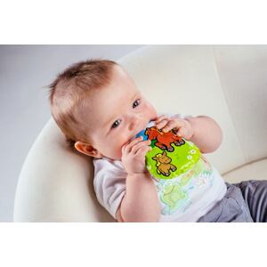 Teddies Polštářek pískací Moje první zvířátka, více druhů