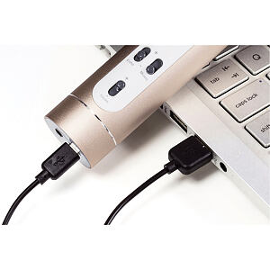 Teddies Mikrofon karaoke Bluetooth zlatý na baterie s USB kabelem
