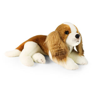 Rappa Plyšový pes kavalír king Charles španěl 40 cm ECO-FRIENDLY