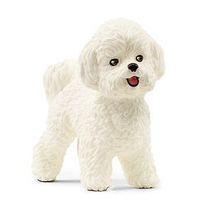 Schleich Zvířátko - Bišon frisé