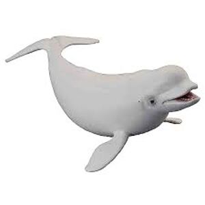 COLLECTA Běluha severní