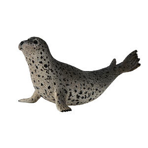 COLLECTA Tuleň pacifický
