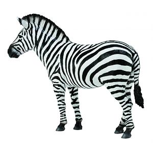COLLECTA Zebra