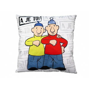 MORAVSKÁ ÚSTŘEDNA Polštářek 30x30cm Pat&Mat, A je to!