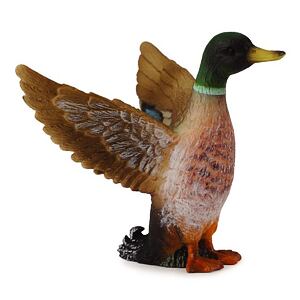 COLLECTA Kačer kachny divoké