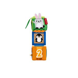 Fisher Price Kostky pro rozvoj smyslů