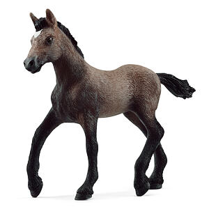 Schleich Zvířátko - Hříbě plemene peruánský paso
