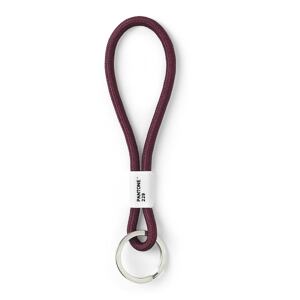 PANTONE Poutko na klíče S - Aubergine 229