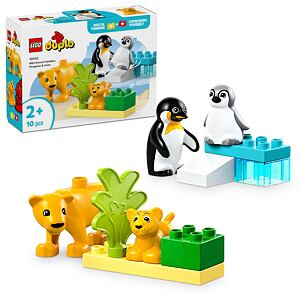 LEGO® DUPLO® 10442 Rodinky divokých zvířat: Tučňáci a lvi
