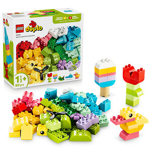 LEGO® DUPLO® 10479 Barevný kreativní box s kostkami