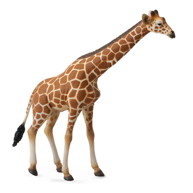 COLLECTA Žirafa