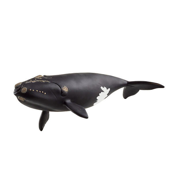 Schleich Velryba severoatlantická