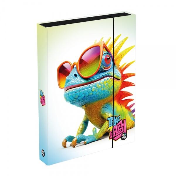 Oxybag Box na sešity A4 Jumbo -  Chameleon