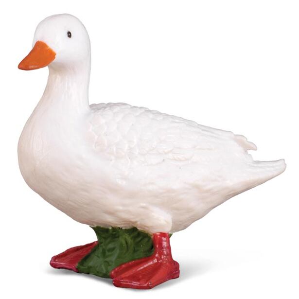 COLLECTA Kachna