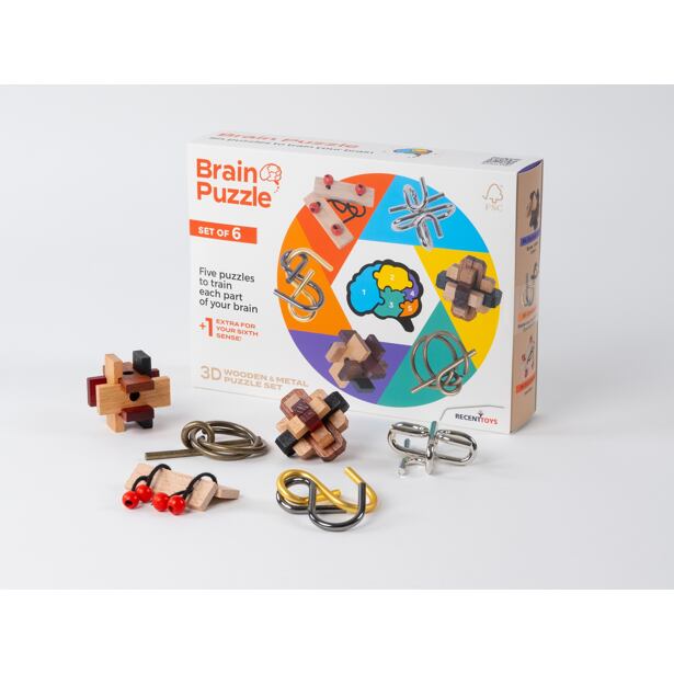 RECENTTOYS Brain Puzzle - sada 6 kusů
