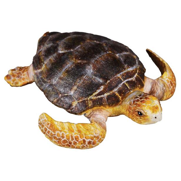 COLLECTA Želva
