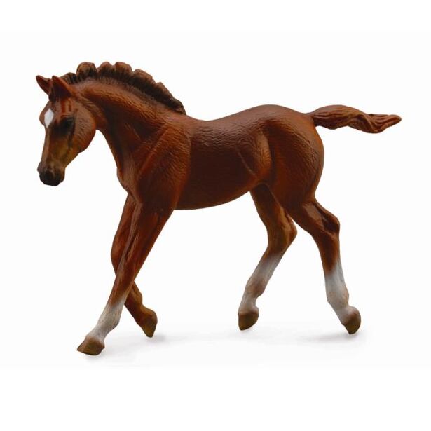 COLLECTA Chestnut hřebec