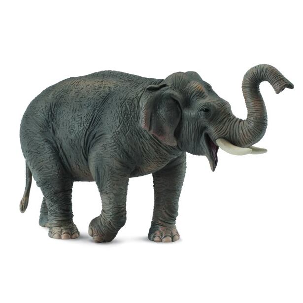 COLLECTA Slon asijský