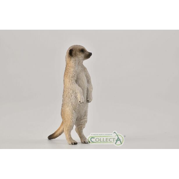 COLLECTA Surikata stojící