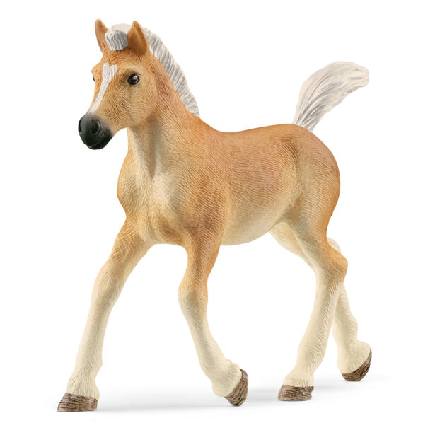 Schleich Zvířátko - Haflingerské hříbě