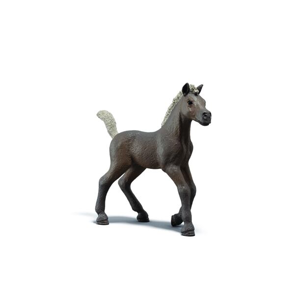 Schleich Sběratelské hříbě Darcy