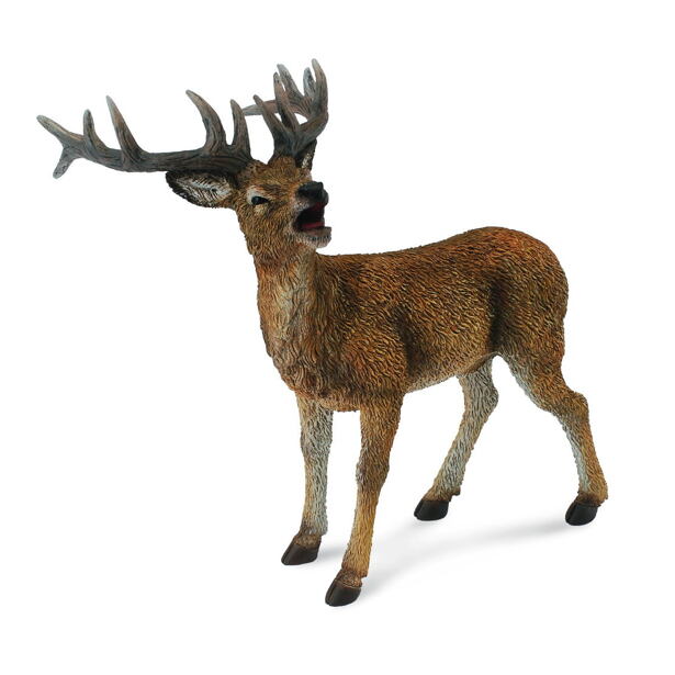 COLLECTA Jelen lesní