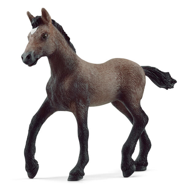 Schleich Zvířátko - Hříbě plemene peruánský paso