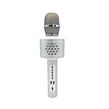 Teddies Mikrofon karaoke Bluetooth stříbrný na baterie s USB kabelem