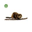 Rappa Plyšový bobr 28 cm ECO-FRIENDLY