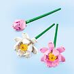 LEGO® Botanicals 40647 Lotosové květy