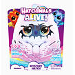 Spin Master Hatchimals Líhnoucí se interaktivní zvířátko Dráček