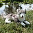 Rappa Plyšový pes husky ležící 60 cm ECO-FRIENDLY