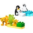 LEGO® DUPLO® 10442 Rodinky divokých zvířat: Tučňáci a lvi