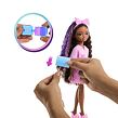 Mattel Barbie Dream Besties Panenka s doplňky - Brooklyn