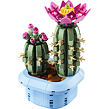 LEGO® Botanicals 11509 Kvetoucí kaktus