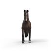 Schleich KWPN valach
