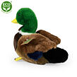Rappa Plyšová kachna 20 cm ECO-FRIENDLY
