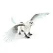 Schleich Ledový gryf
