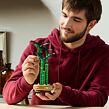 LEGO® Botanicals 10344 Bambus štěstí