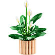LEGO® Botanicals 11504 Lopatkovec