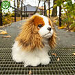 Rappa Plyšový pes king charles španěl 25 cm ECO-FRIENDLY
