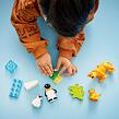 LEGO® DUPLO® 10442 Rodinky divokých zvířat: Tučňáci a lvi