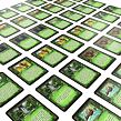 Spin Master Games Jumanji karetní verze CZ